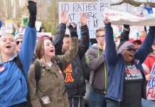 Second day teacher walkout crowd cheers at Capitol