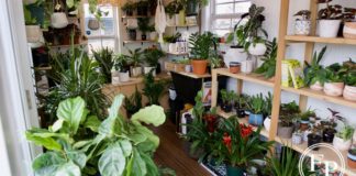Plant People shop
