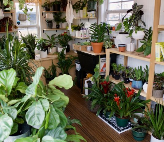 Plant People shop