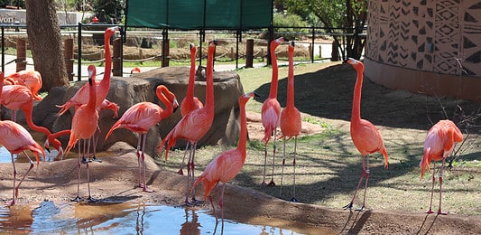 Zoo
