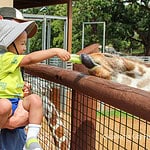 zoo