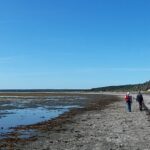 PRESS RELEASE: Sam Noble Museum researchers to lead expeditions investigating Earth’s first mass extinction