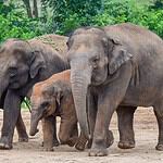 zoo