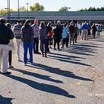 voting