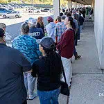 voting