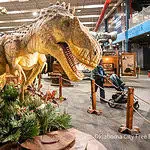 dinosaurs