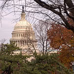 Capitol