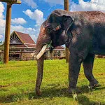 zoo