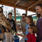 PRESS RELEASE: Discover Spring Break at Oklahoma’s most popular destination, OKC Zoo