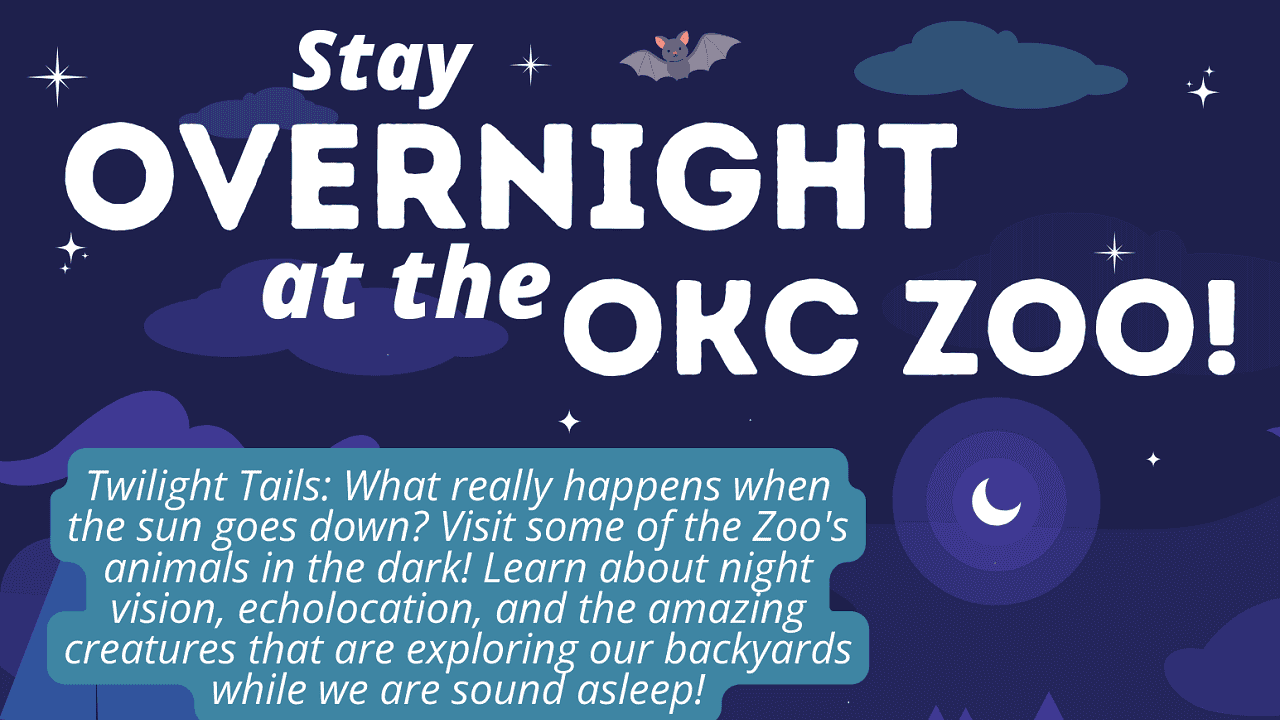 PRESS RELEASE: Dreams come true with OKC Zoo Summer Overnights