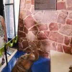 zoo