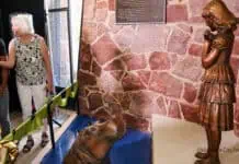 zoo