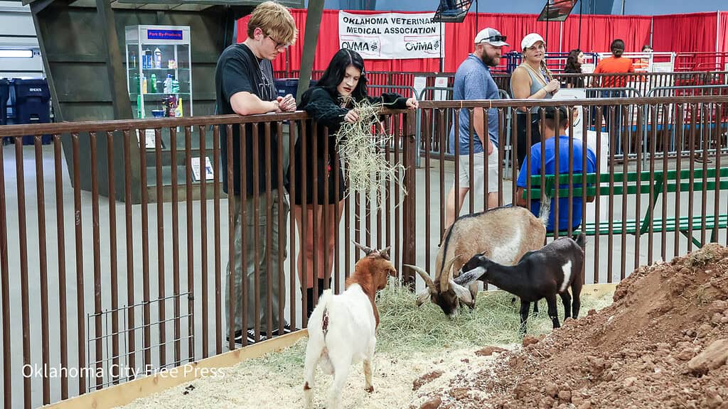 Oklahoma State Fair