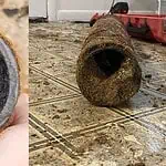 PRESS RELEASE: Don’t let FOG clogs create a costly holiday plumbing mess