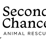 PRESS RELEASE: Second Chance breaks ground on new facility to better serve animals and community