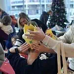 PRESS RELEASE: Noon Year’s Eve at the Metropolitan Library