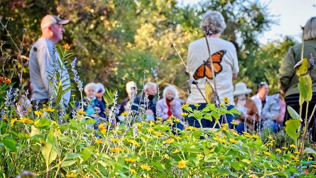 Mollie Spencer Farm pollinator garden