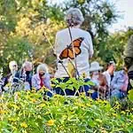 PRESS RELEASE: Mollie Spencer Farm to host event on pollinator gardening
