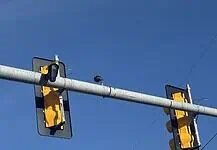 Flock camera contract renewal heads to City Council Tuesday