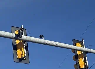UPDATE: Flock camera renewal pulled from City Council agenda