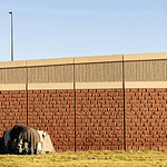 A small tent covered with a tarp tucked against a long brick wall on a sunny day, with a grassy foreground.
