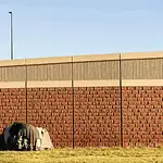 Three Cities, Three Approaches: How Oklahoma’s Homeless Encampment Sweeps Played Out Differently A small tent covered with a tarp tucked against a long brick wall on a sunny day, with a grassy foreground.