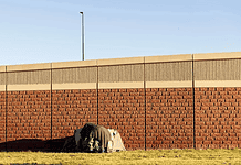 A small tent covered with a tarp tucked against a long brick wall on a sunny day, with a grassy foreground.