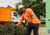 Utility worker in an orange safety vest and hard hat clearing storm debris beside a city dump truck; green panel on the right reads 'UPDATE June Storm Debris Collection' with city seal.