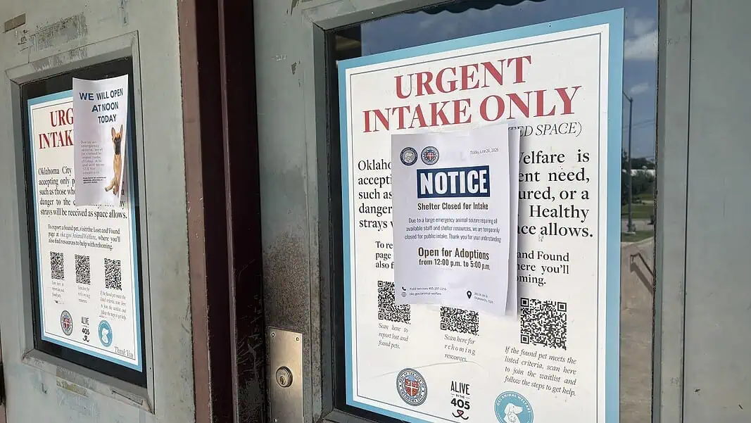 Photo Jun 26 2026, 12 44 28 PM A door with a large posting labeled 'URGENT INTAKE ONLY' and a smaller 'NOTICE' sign attached over the poster.