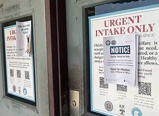 On eve of adoption drive, City rescues over 500 animals in drug bust A door with a large posting labeled 'URGENT INTAKE ONLY' and a smaller 'NOTICE' sign attached over the poster.