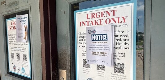 A door with a large posting labeled 'URGENT INTAKE ONLY' and a smaller 'NOTICE' sign attached over the poster.
