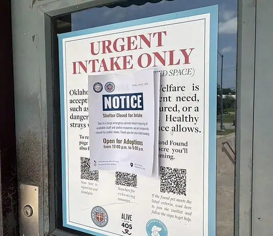 On eve of adoption drive, City rescues over 500 animals in drug bust A door with a large posting labeled 'URGENT INTAKE ONLY' and a smaller 'NOTICE' sign attached over the poster.