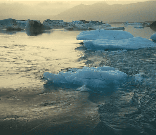 Icebergs floating in a calm glacial lagoon at sunset with distant mountains in the background, reflecting on the water.