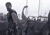 Nolan’s ‘Odyssey’ an epic emotional outburst of present politics, pains Bearded warrior in dark armor stands at the edge of a tents-filled camp with ships and masts in the misty background.