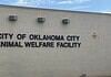 Poor health among 500 rescued animals; cruelty charges incoming Exterior wall with the sign 'City of Oklahoma City Animal Welfare Facility' and a nearby oxygen warning sign on the right; utility cabinet on the left against a blue sky backdrop.