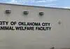 Poor health among 500 rescued animals; cruelty charges incoming Exterior wall with the sign 'City of Oklahoma City Animal Welfare Facility' and a nearby oxygen warning sign on the right; utility cabinet on the left against a blue sky backdrop.