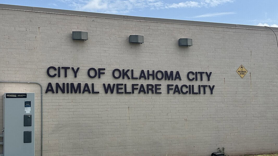 Photo Jun 26 2026, 12 08 04 PM Exterior wall with the sign 'City of Oklahoma City Animal Welfare Facility' and a nearby oxygen warning sign on the right; utility cabinet on the left against a blue sky backdrop.