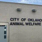 Poor health among 500 rescued animals; cruelty charges incoming Exterior wall with the sign 'City of Oklahoma City Animal Welfare Facility' and a nearby oxygen warning sign on the right; utility cabinet on the left against a blue sky backdrop.