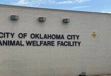 Exterior wall with the sign 'City of Oklahoma City Animal Welfare Facility' and a nearby oxygen warning sign on the right; utility cabinet on the left against a blue sky backdrop.