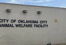 Poor health among 500 rescued animals; cruelty charges incoming Exterior wall with the sign 'City of Oklahoma City Animal Welfare Facility' and a nearby oxygen warning sign on the right; utility cabinet on the left against a blue sky backdrop.