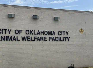 Poor health among 500 rescued animals; cruelty charges incoming Exterior wall with the sign 'City of Oklahoma City Animal Welfare Facility' and a nearby oxygen warning sign on the right; utility cabinet on the left against a blue sky backdrop.