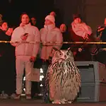 ‘Wild Inside’ a heartfelt animal doc of freedom, flight, found family Owl perched on the pavement in front of a gray computer-like machine, with a crowd watching behind yellow caution tape at night