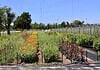 Ralph’s Ranch wins zoning fight, but challenges remain for small farms
