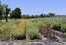 Ralph’s Ranch wins zoning fight, but challenges remain for small farms