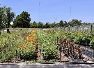 Ralph’s Ranch wins zoning fight, but challenges remain for small farms