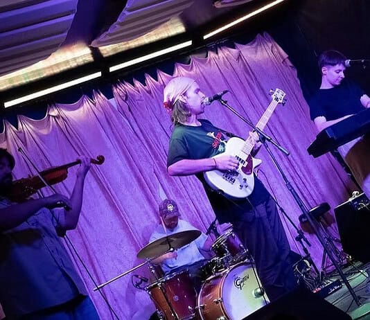 Monte craft some oddball indie-rock beauty on ‘Fledgling’