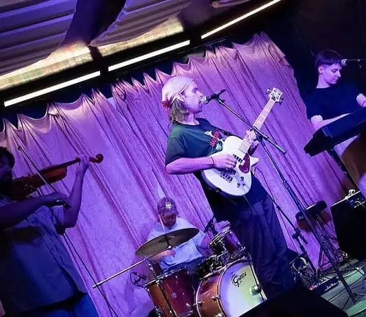 Monte craft some oddball indie-rock beauty on ‘Fledgling’