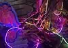 Herencia returns with surreal, immersive ‘Beyond El Sueño’ exhibit